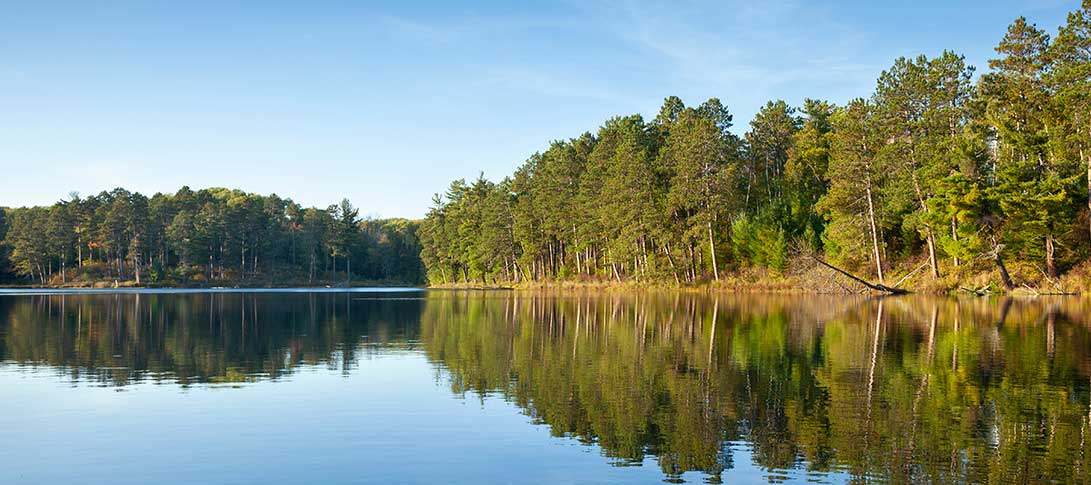 pictured: a lake surrounded by coniferous forest