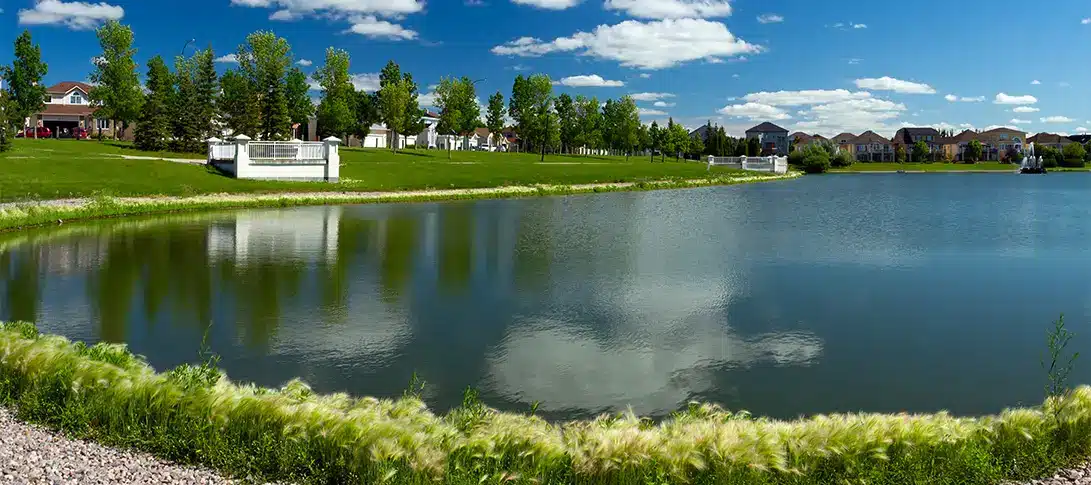 A calm pond bordered by grass, with houses, trees, and a blue sky with scattered clouds reflected in the water—an ideal setting for thoughtful pond management.