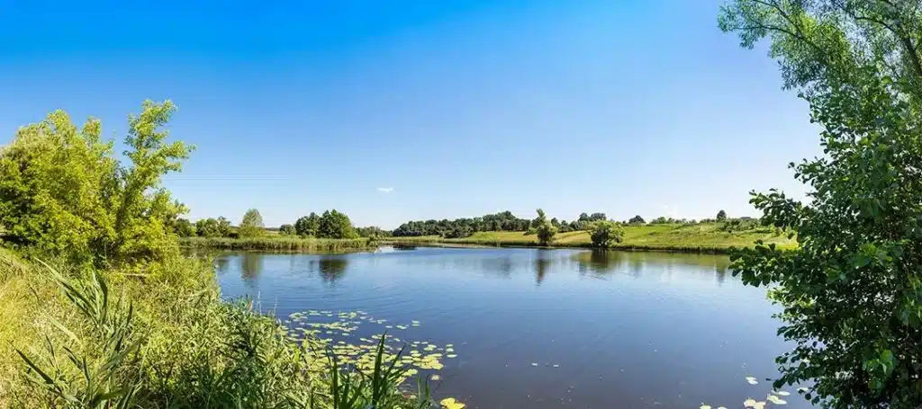 A calm pond used for stormwater management is surrounded by green trees and grass under a clear blue sky, with lily pads floating on the water’s surface.