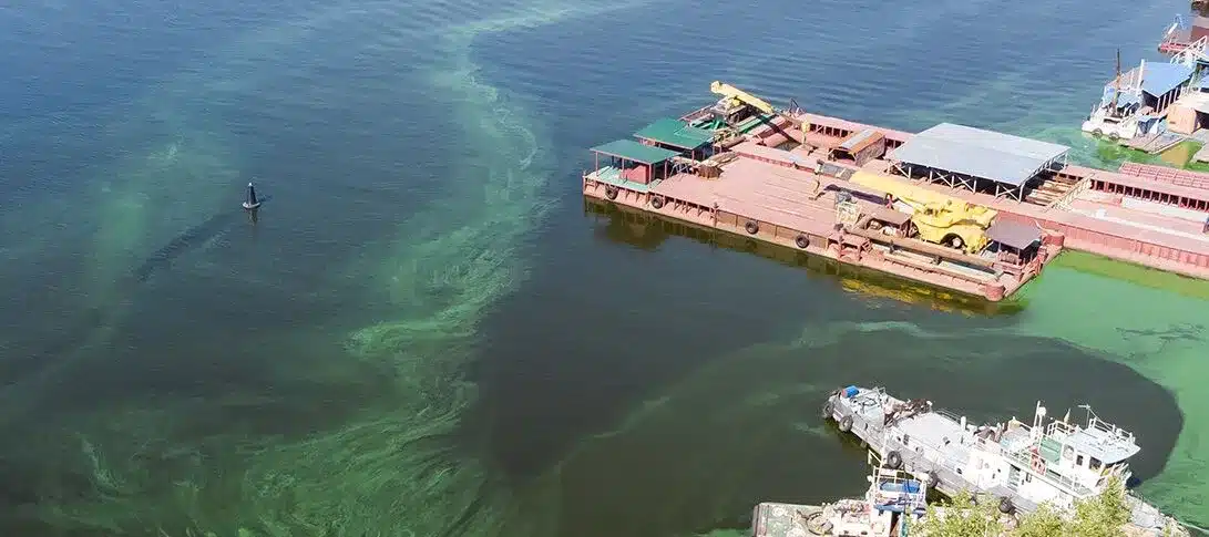 Aerial view of a dock with several boats and a barge on water, where green algae blooms near the shore highlight the need for effective lake management.