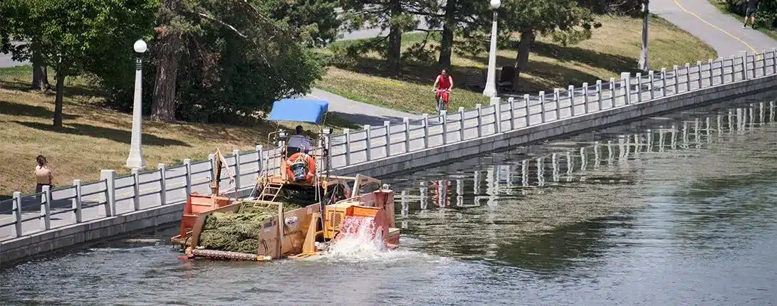 A machine collects aquatic plants from a canal as part of stormwater management while two people walk along the paved path beside the water.