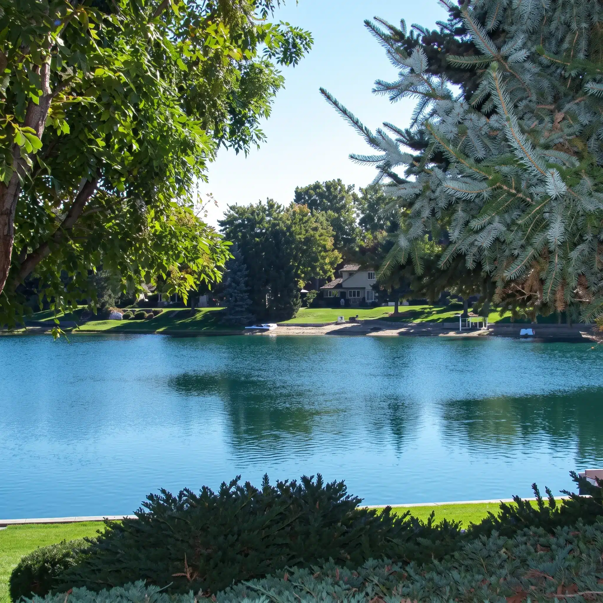 A calm lake is bordered by grass, trees, and homes. Trees frame the scene in the foreground on a clear sunny day.