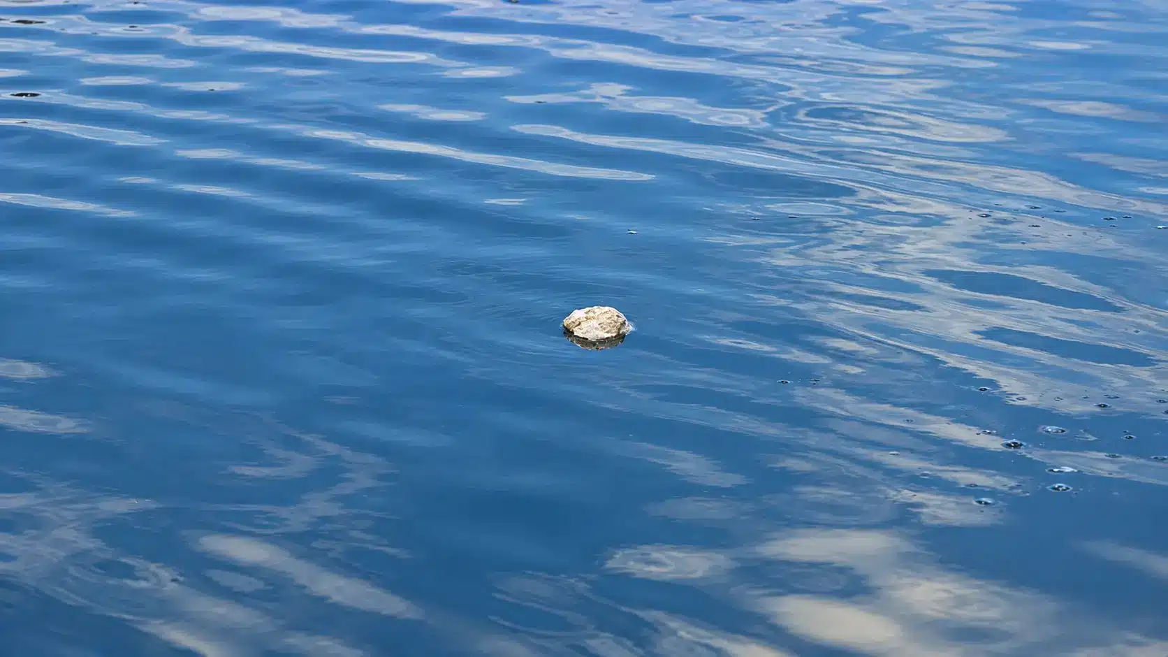 A small rock or piece of debris floats on the surface of rippling blue water under sunlight.
